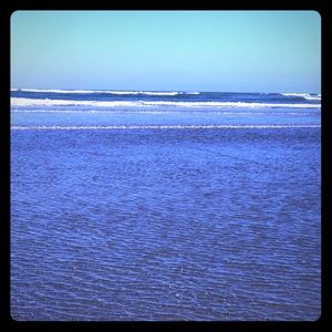 Meet your Posher, Maegen